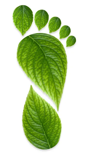 녹색 탄소 발 프린트 로열티 프리 스톡 이미지