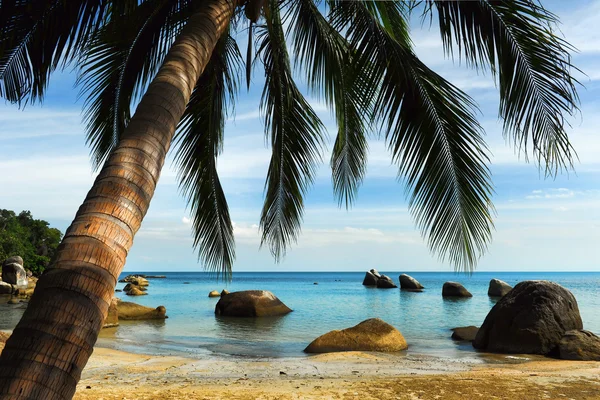 Tropisk strand, thailand — Stockfoto