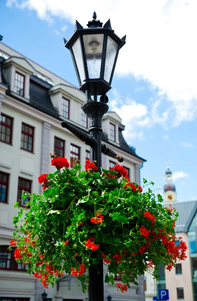 Vieux Riga en été — Photo