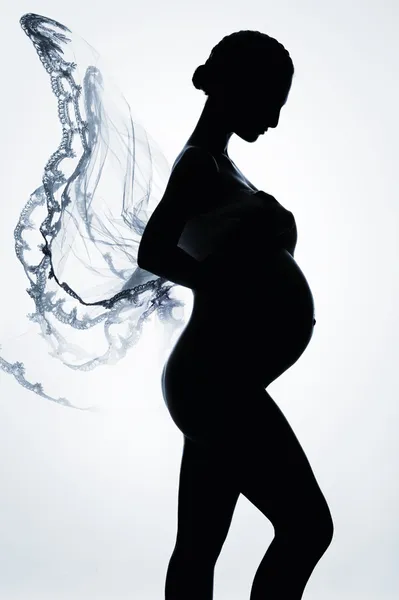 Beautiful silhouette of pregnant woman — Stock Photo, Image