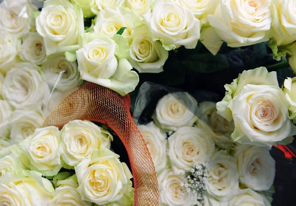 Όμορφη άσπρα τριαντάφυλλα — Φωτογραφία Αρχείου