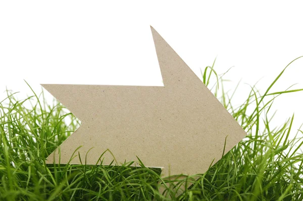 Cardboard direction sign on green grass — Stock Photo, Image