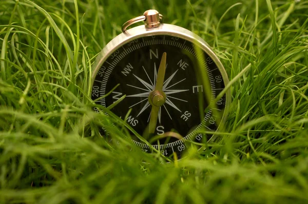 Kompas i grønt græs - Stock-foto
