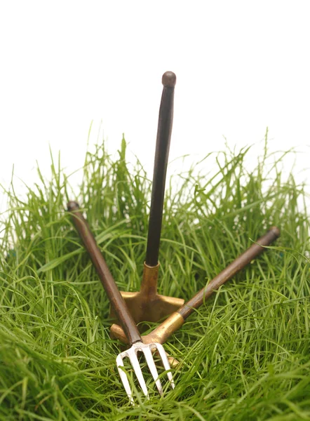 Green grass with garden tools — Stock Photo, Image