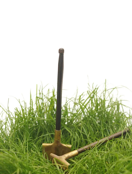 Hierba verde con herramientas de jardín —  Fotos de Stock