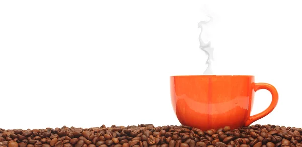 Kopje van koffie op koffie granen — Stockfoto