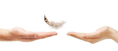 Man's hand gives the feather female hand clipart