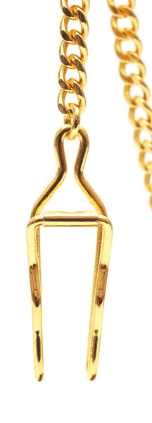 Cadeia de ouro isolado em branco, close-up — Fotografia de Stock