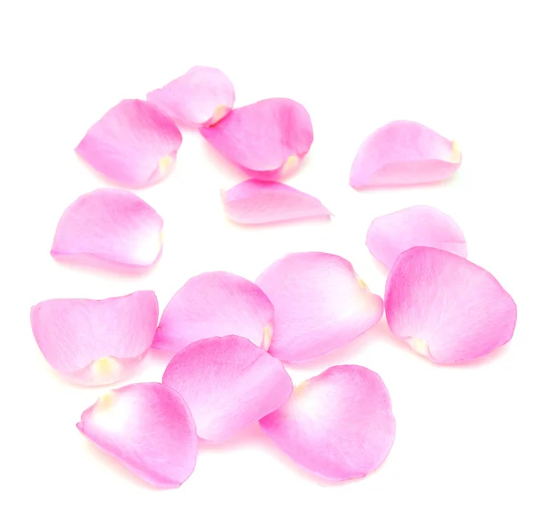 Rose petals border — Stock Photo, Image