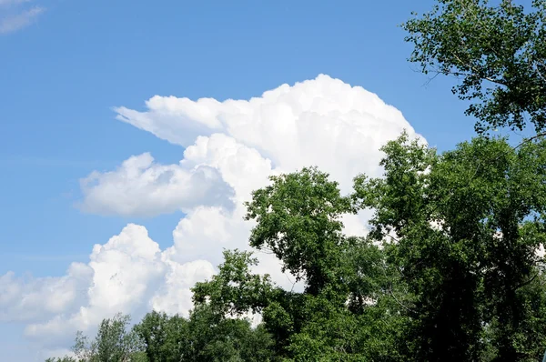 stock image Blue sky with clouds