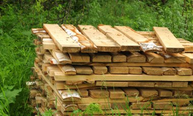 Pattern of cut wood stacks in rectangular formation with green g clipart