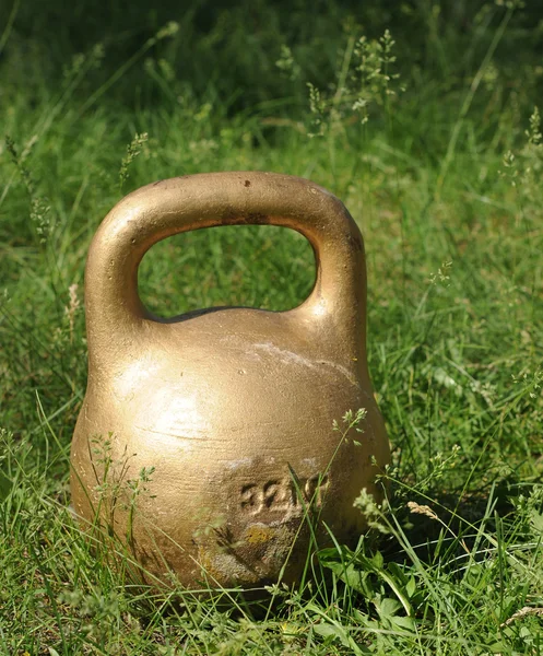 stock image Gold dumbbell on green grass at park.