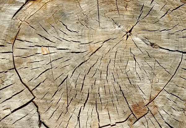Holzstruktur. es ist möglich, als Hintergrund zu verwenden. — Stockfoto