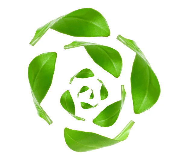Öko-Recycling grüner Energie isoliert auf weiß — Stockfoto