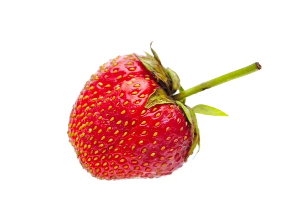 Une fraise rouge, isolée sur fond blanc . — Photo