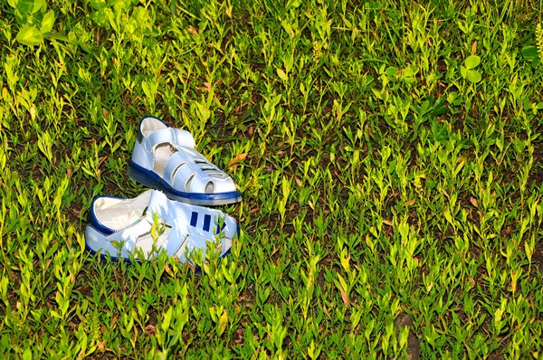 Sandálias azuis / chinelos na grama — Fotografia de Stock