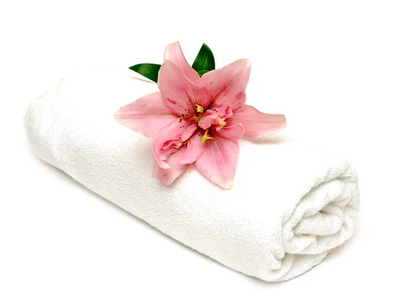 Lírio e toalha em um fundo branco — Fotografia de Stock