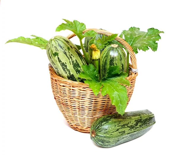 Zucchine in un cesto isolato su fondo bianco — Foto Stock