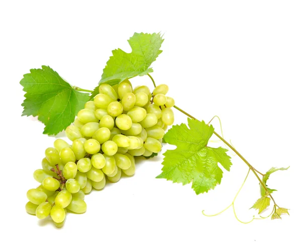 Bando de uvas e folhas frescas — Fotografia de Stock
