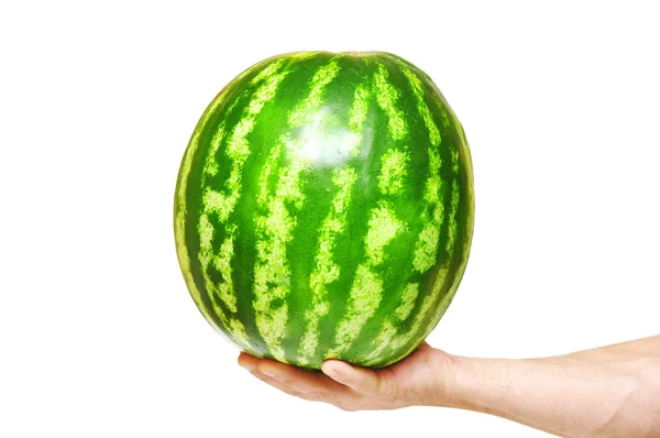 Watermeloen in de hand — Stockfoto