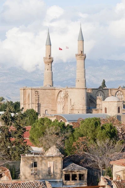 Mezquita Selimiye —  Fotos de Stock