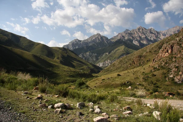 Kirgizisztán. hegyek. szurdok besh Martina. — Stock Fotó