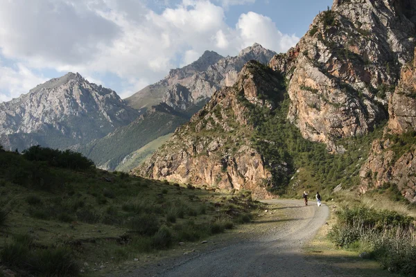 Kyrgyzstan. Mountains. Gorge Besh Tash. Stock Picture