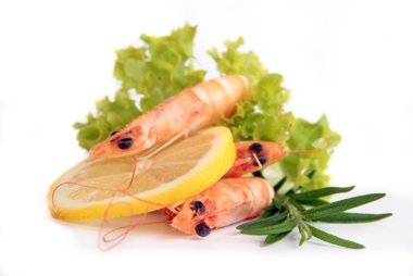 Delicious shrimps clipart