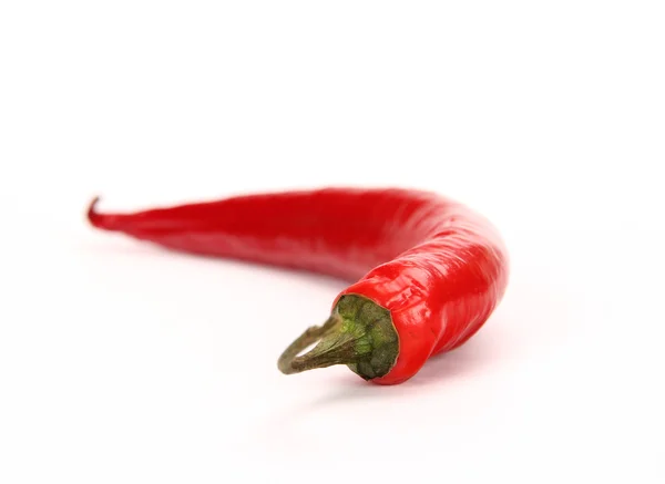Rode Spaanse peper — Stockfoto