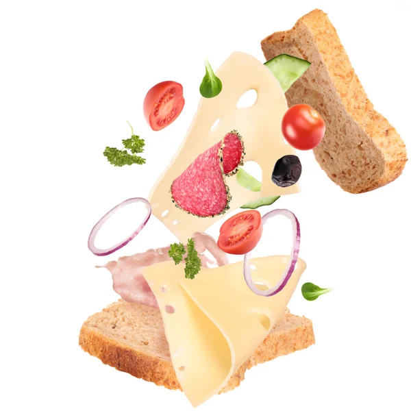 stock image Delicious sandwich