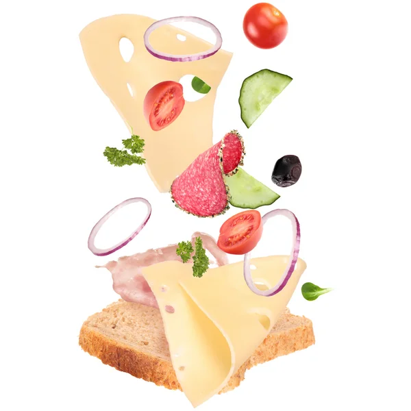 stock image Delicious sandwich