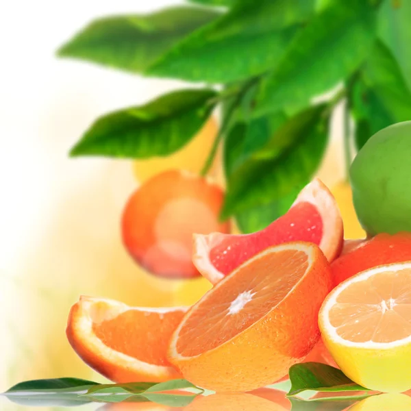 新鲜柑橘背景 — 图库照片