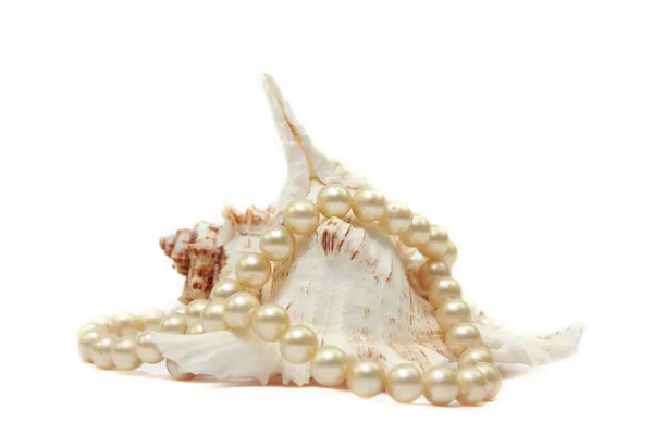 Жемчужное ожерелье с раковиной на белом фоне — стоковое фото