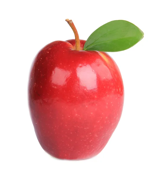 Čerstvé jablko — Stock fotografie