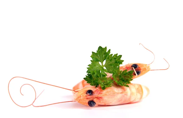 Stock image Delicious shrimps