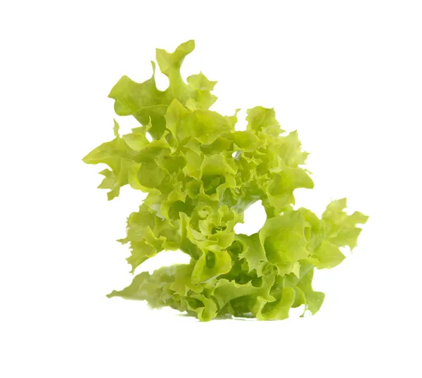 Salade fraîche — Photo