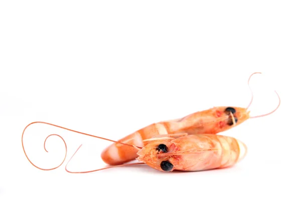 Delicious shrimps — Stock Photo, Image