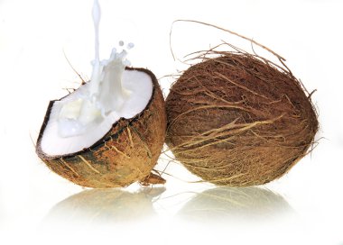 Fresh coconuts clipart