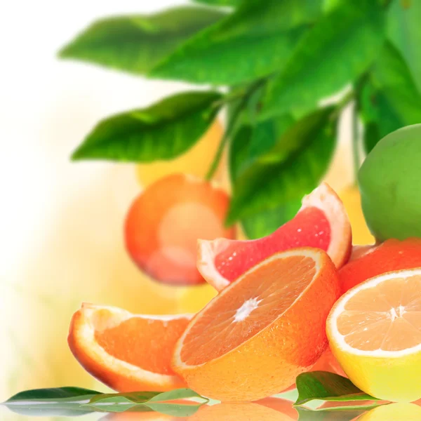 Świeżych owoców cytrusowych tło — Zdjęcie stockowe