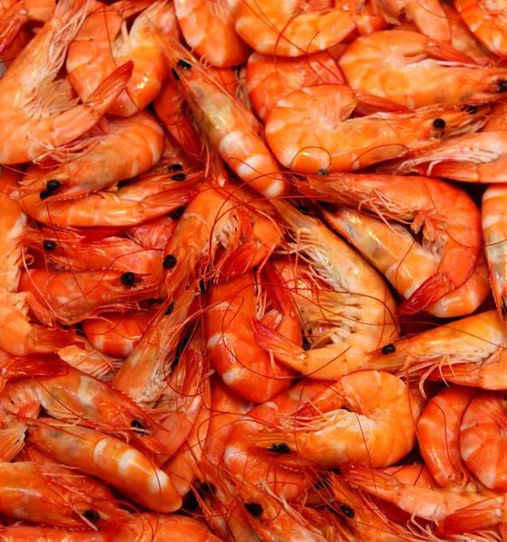 stock image Delicious shrimps