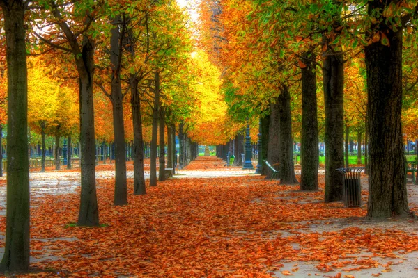 Gyönyörű őszi sikátor — Stock Fotó