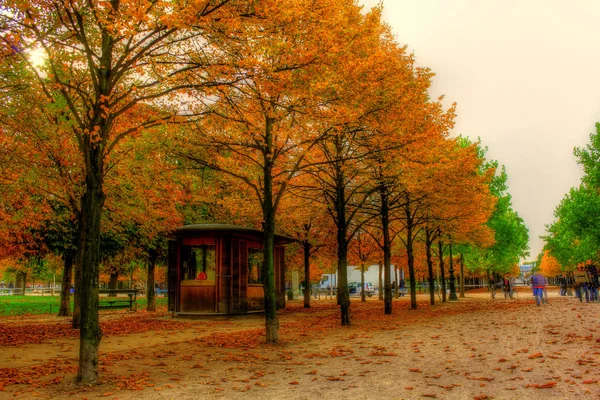 Beautiful autumn alley — Stock Photo, Image