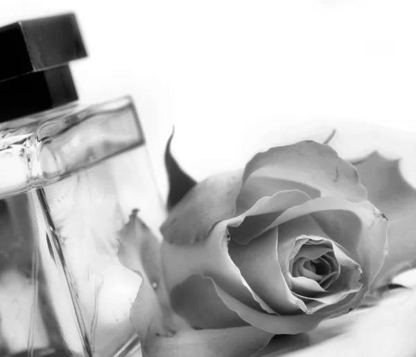 Perfume en una botella de vidrio —  Fotos de Stock