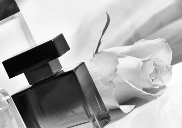 Perfume in a glass bottle — Zdjęcie stockowe