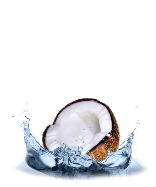 Coco fresco —  Fotos de Stock