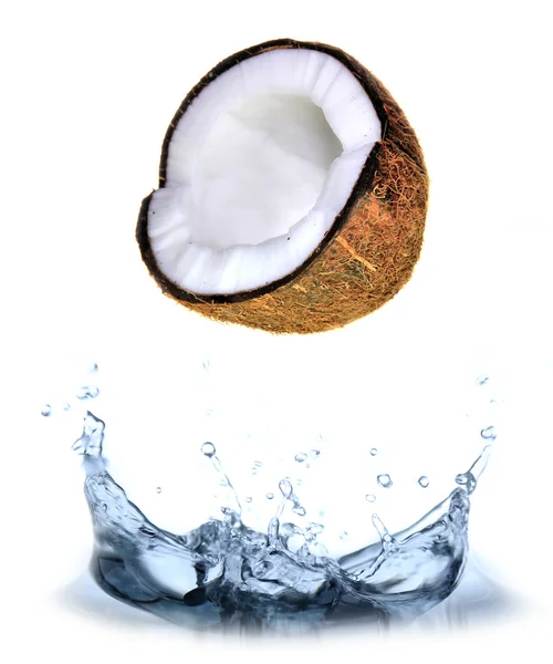 Čerstvý kokos — Stock fotografie