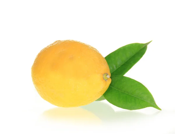 Sappige citroen — Stockfoto