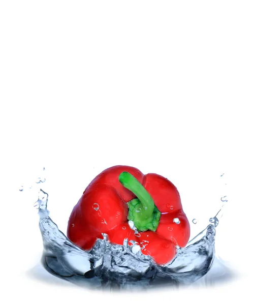 Красный перец упал в воду — стоковое фото