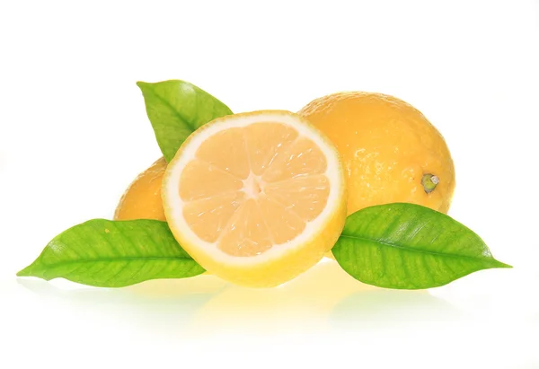 Limão suculento — Fotografia de Stock