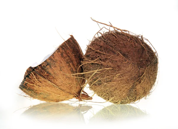 Tuoreet kookospähkinät — kuvapankkivalokuva